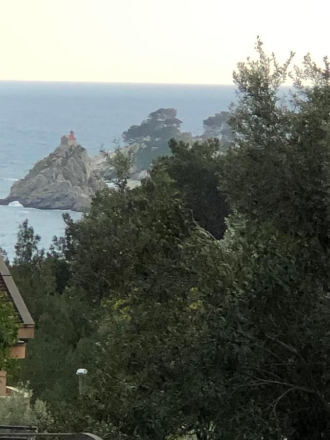 Apartmani Lime Petrovac ภายนอก รูปภาพ